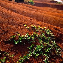 超现实沉浸式游戏《警目如炬》亮相未来游戏展 全新试玩今日上线Steam