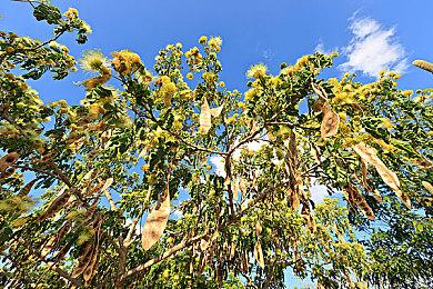 《暗黑4》将于6月28日再次维护 不停机可正常游玩